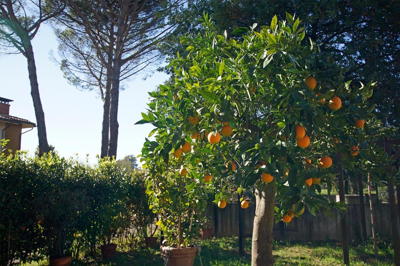 Orentano Bed & Breakfast Bel Giorgio المظهر الخارجي الصورة